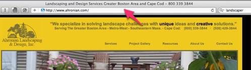 Landscaper Title Tag